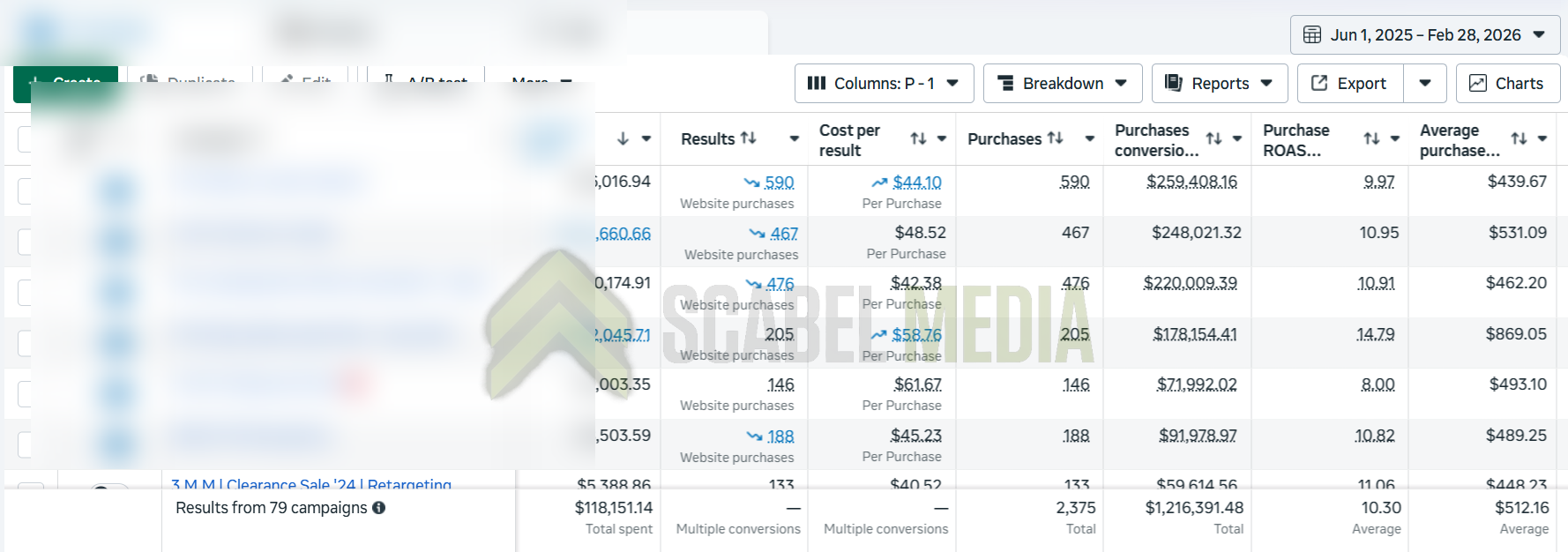 Action Sports & Streetwear Meta Ads Case Study Metrics