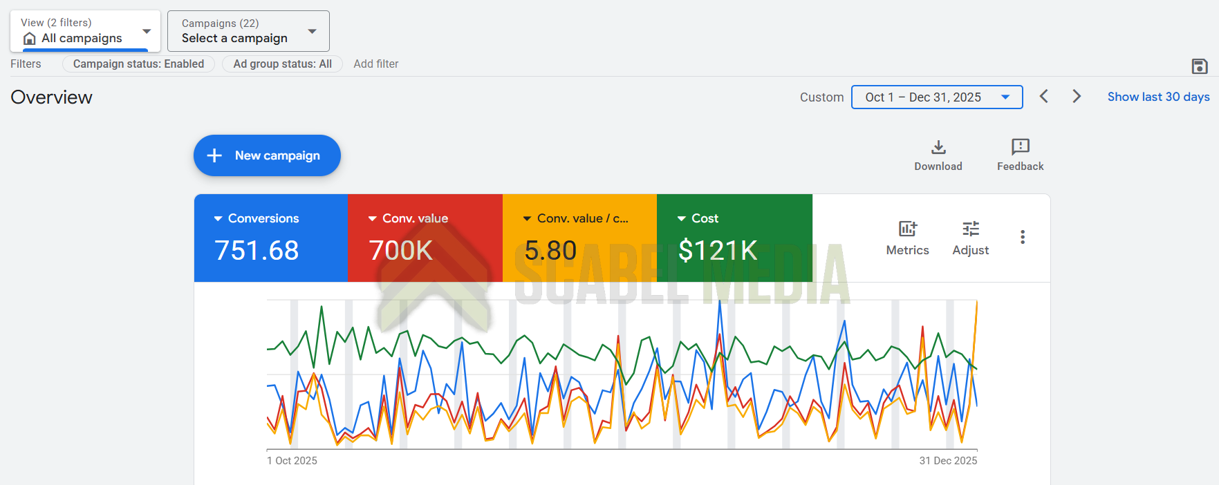 Fitness & Health Equipment Google Ads Case Study Metrics